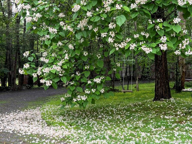 404 John Joy Road, Woodstock, NY 12498