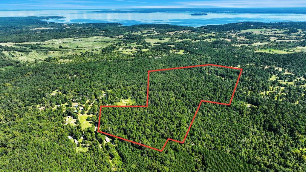 TBD Rose Hill Road, Coldspring, TX 77331