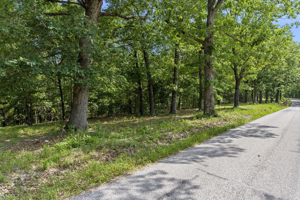 Tbd Branson Mtn Village, Branson West, MO 65737