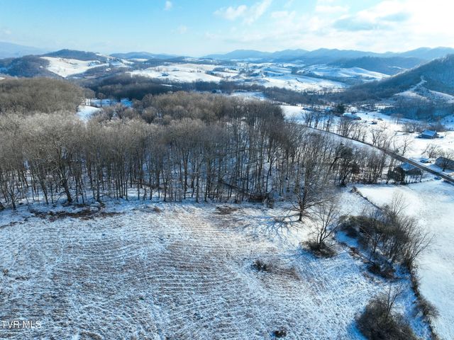 31401 Old Saltworks Road, Meadowview, VA 24361