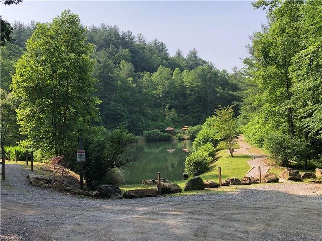 1158 Staghorn Road, Purlear, NC 28665