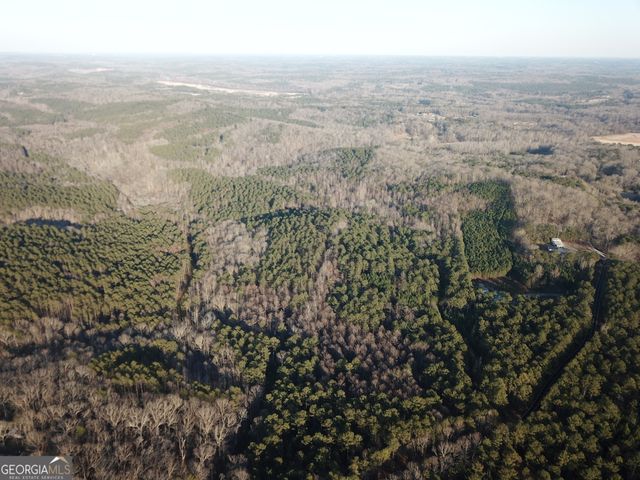 0 - TRACT 4 Mt Zion Church Road, Whitesburg, GA 30185