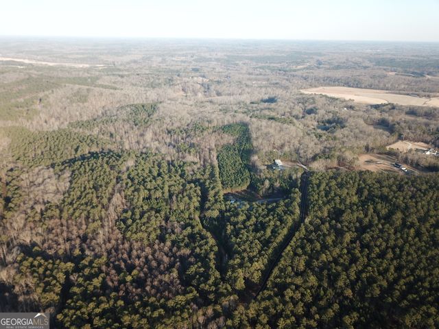 0 - TRACT 4 Mt Zion Church Road, Whitesburg, GA 30185