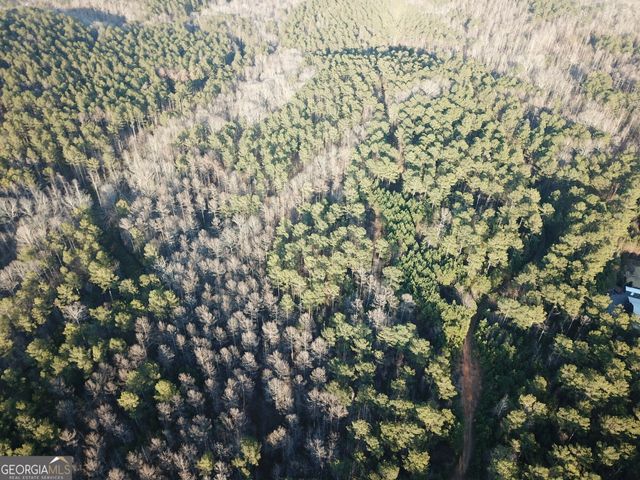 0 - TRACT 4 Mt Zion Church Road, Whitesburg, GA 30185