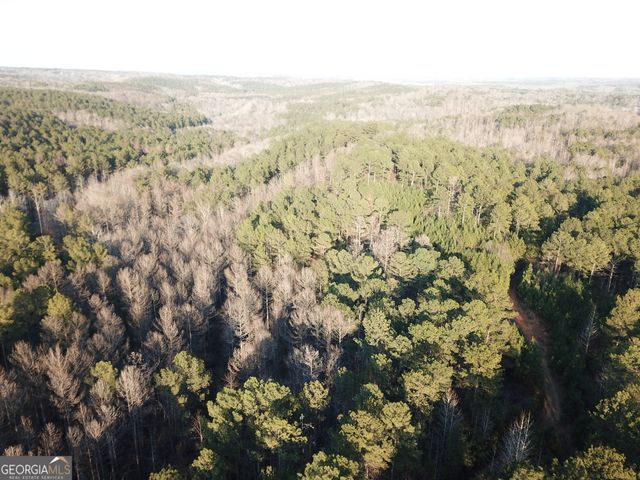 0 - TRACT 4 Mt Zion Church Road, Whitesburg, GA 30185