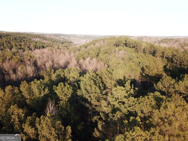 0 - TRACT 4 Mt Zion Church Road, Whitesburg, GA 30185