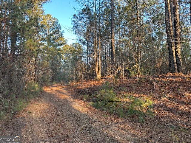 0 - TRACT 4 Mt Zion Church Road, Whitesburg, GA 30185