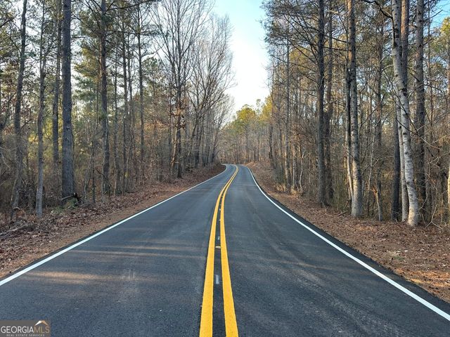 0 - TRACT 4 Mt Zion Church Road, Whitesburg, GA 30185