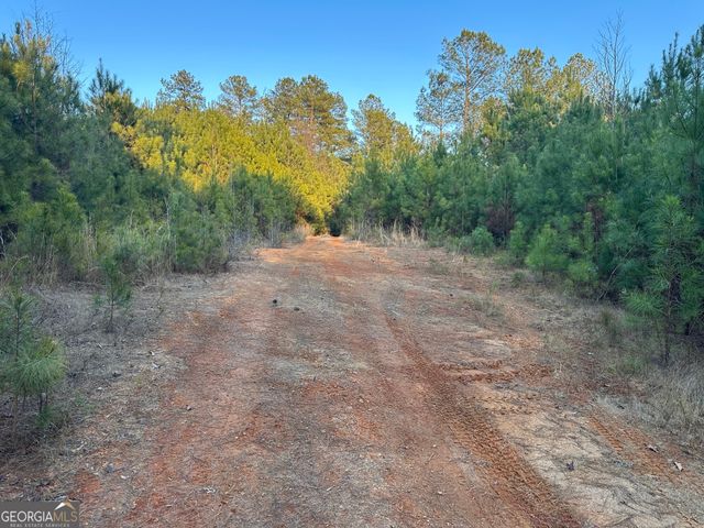 0 - TRACT 4 Mt Zion Church Road, Whitesburg, GA 30185