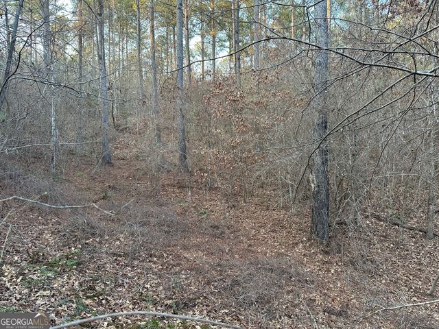 0 - TRACT 4 Mt Zion Church Road, Whitesburg, GA 30185