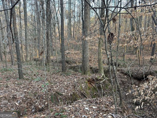 0 - TRACT 4 Mt Zion Church Road, Whitesburg, GA 30185