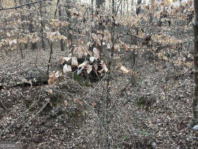 0 - TRACT 4 Mt Zion Church Road, Whitesburg, GA 30185