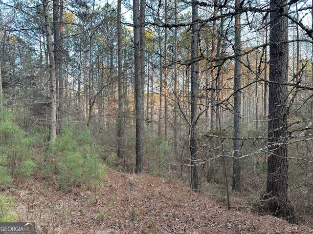 0 - TRACT 4 Mt Zion Church Road, Whitesburg, GA 30185