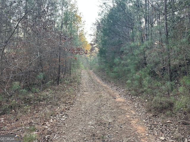 0 - TRACT 4 Mt Zion Church Road, Whitesburg, GA 30185