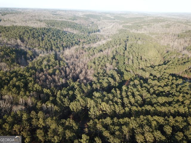 0 - TRACT 4 Mt Zion Church Road, Whitesburg, GA 30185