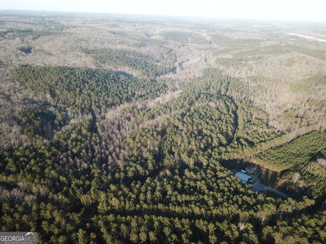 0 - TRACT 4 Mt Zion Church Road, Whitesburg, GA 30185