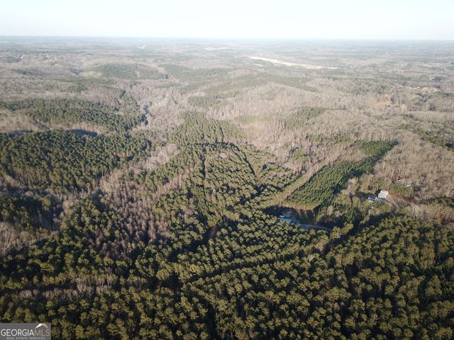 0 - TRACT 4 Mt Zion Church Road, Whitesburg, GA 30185