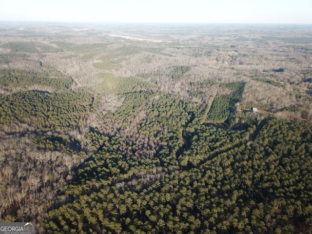 0 - TRACT 4 Mt Zion Church Road, Whitesburg, GA 30185