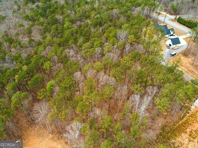 4243 Harmony Grove Church Road, Dallas, GA 30132