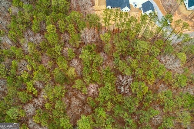 4243 Harmony Grove Church Road, Dallas, GA 30132