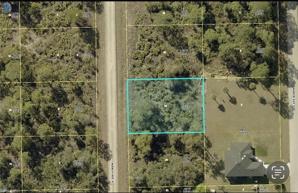 238 Nancy AVE S, LEHIGH ACRES, FL 33974 — exterior