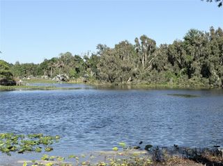 11505 N ROME AVENUE, Tampa, FL 33612