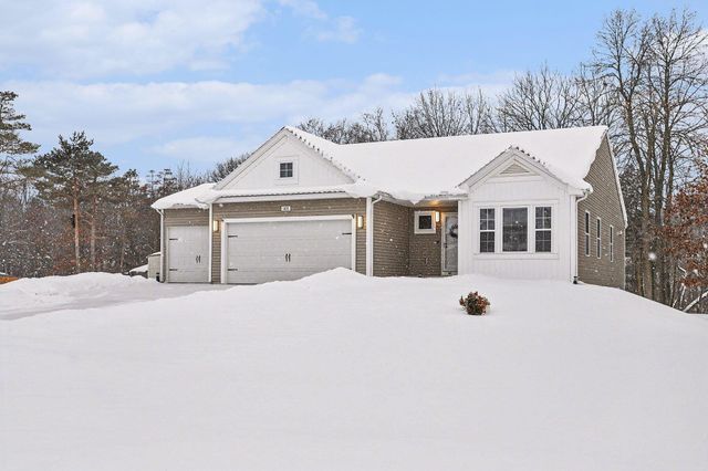 1401 Springview Court, Yankee Springs Twp, MI 49333