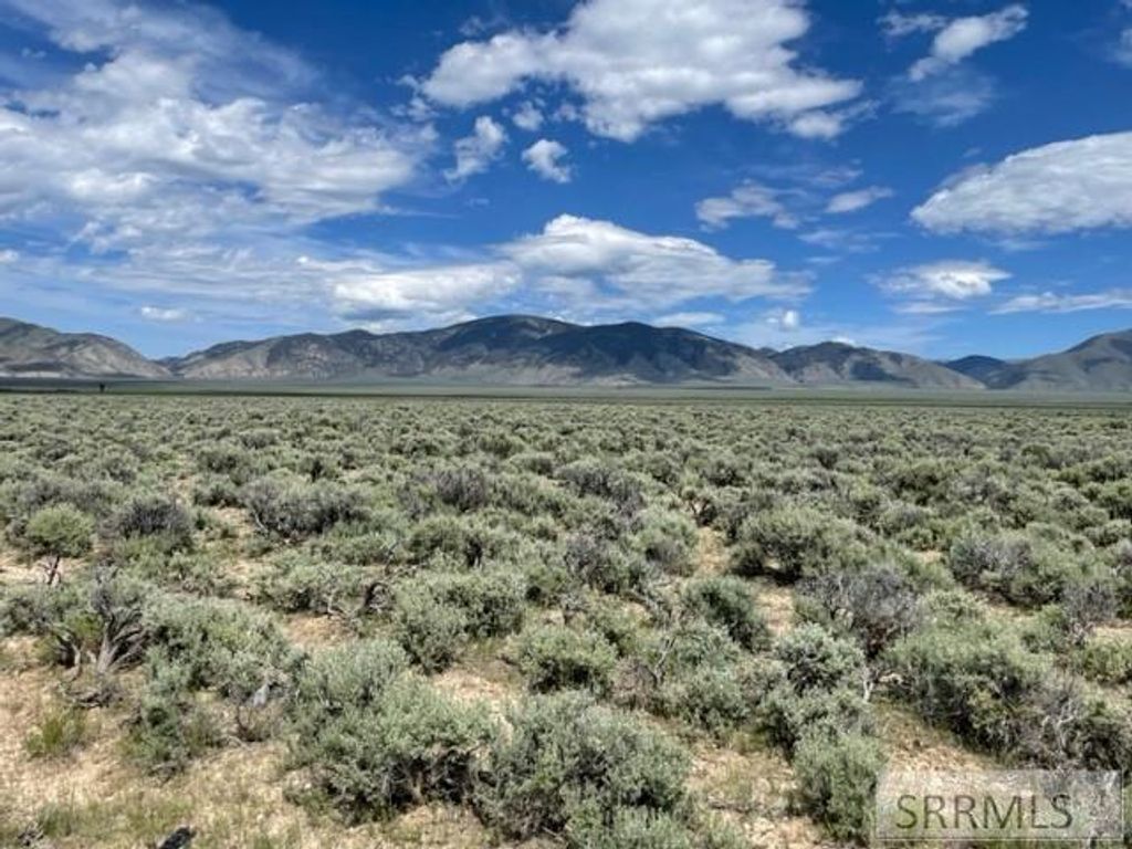 Image 1 of property listing at TBD Hwy 28, Leadore, ID 83464