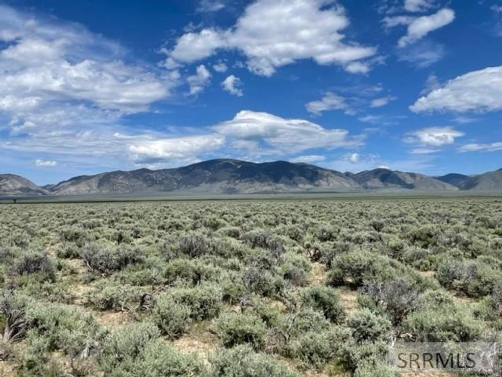 Image 2 of property listing at TBD Hwy 28, Leadore, ID 83464