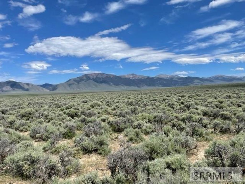 Image 3 of property listing at TBD Hwy 28, Leadore, ID 83464
