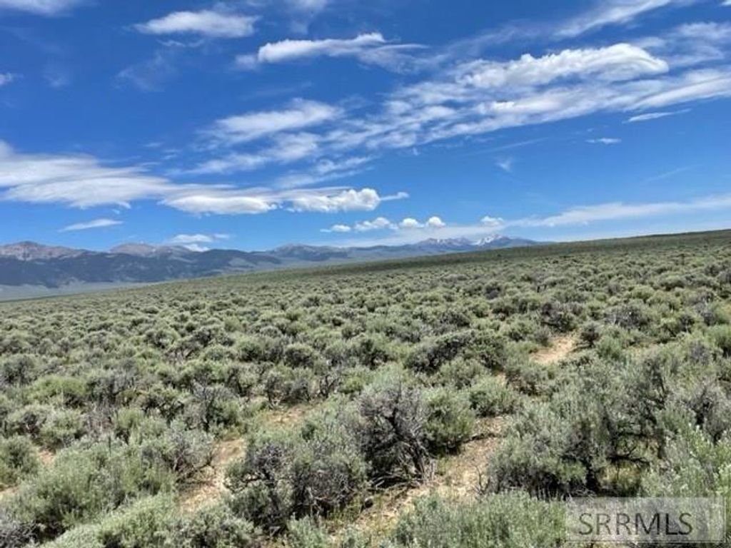 Image 4 of property listing at TBD Hwy 28, Leadore, ID 83464