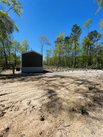 30 Hellon Lane, Shepherd, TX 77371