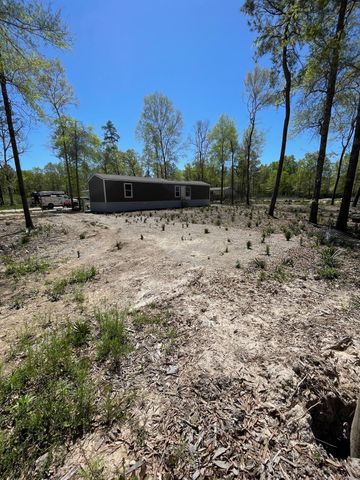 30 Hellon Lane, Shepherd, TX 77371