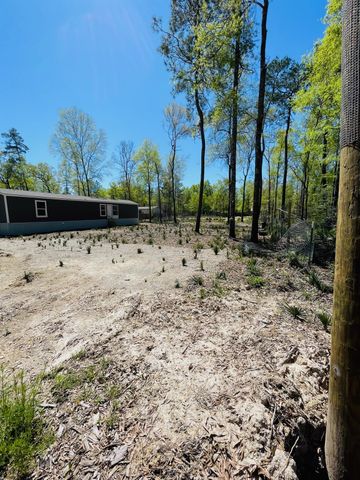 30 Hellon Lane, Shepherd, TX 77371