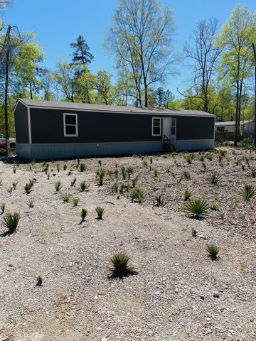 30 Hellon Lane, Shepherd, TX 77371