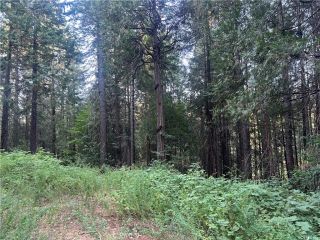 6418 Hupp Coutolenc, Magalia, CA 95954