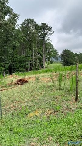 2515 County Road 58, Cedar Bluff, AL 35959