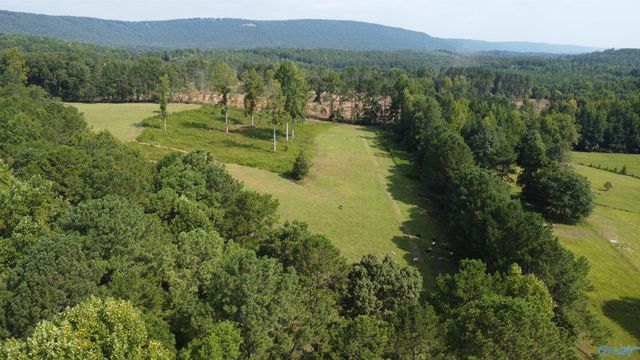 2515 County Road 58, Cedar Bluff, AL 35959