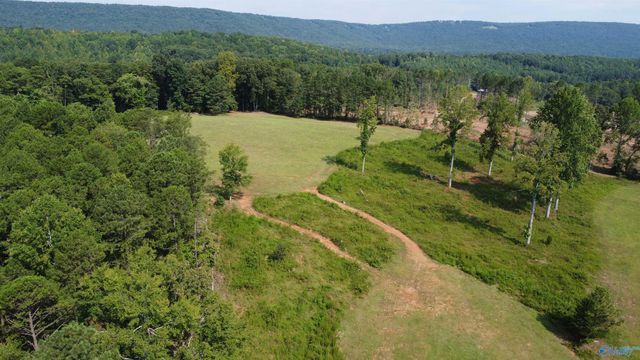 2515 County Road 58, Cedar Bluff, AL 35959