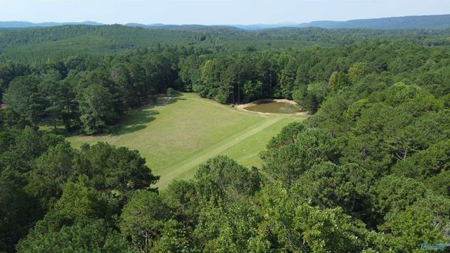 2515 County Road 58, Cedar Bluff, AL 35959