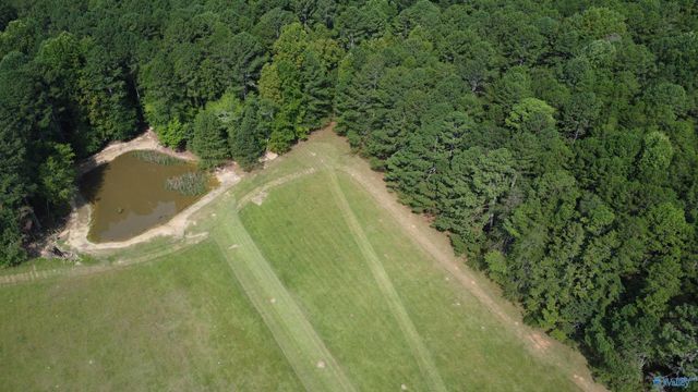 2515 County Road 58, Cedar Bluff, AL 35959