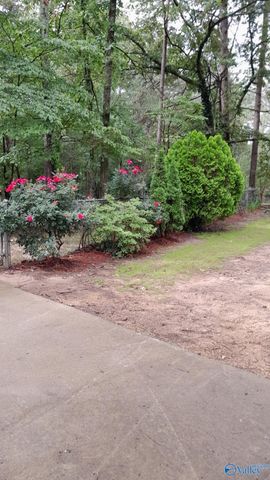 2515 County Road 58, Cedar Bluff, AL 35959