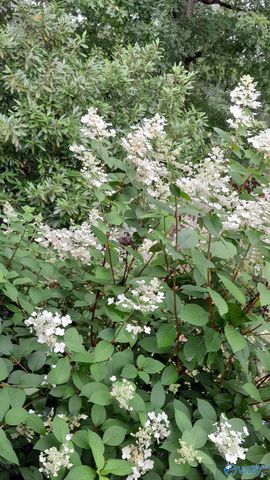 2515 County Road 58, Cedar Bluff, AL 35959