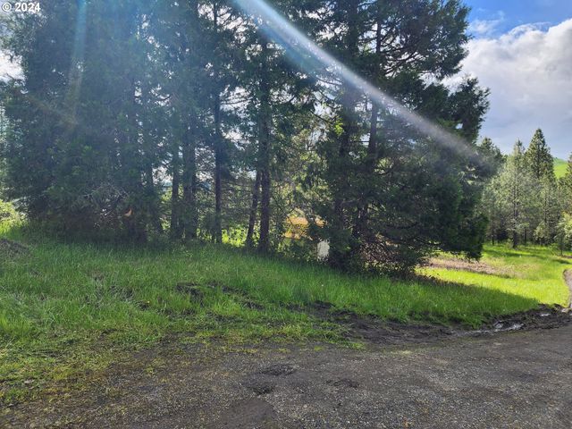 927 LONE ROCK Rd, Glide, OR 97443