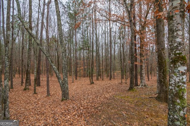 1578 Ga Highway 208, Hamilton, GA 31811