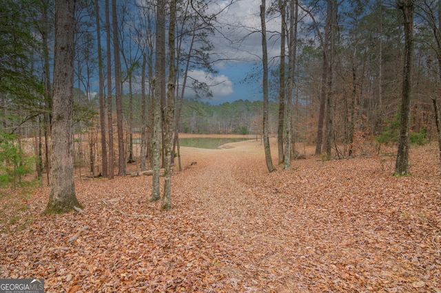 1578 Ga Highway 208, Hamilton, GA 31811