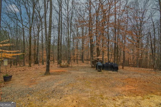 1578 Ga Highway 208, Hamilton, GA 31811