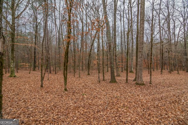 1578 Ga Highway 208, Hamilton, GA 31811