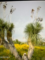 PN-75978 Bareback Trail, Sierra Blanca, TX 79851