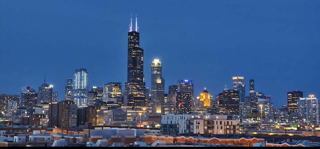 833 W 15th Place 606W, Chicago, IL 60608